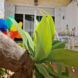  Apartment San Antonio - Beach, Pool And Terrace
